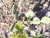 100_0063.JPG