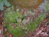 100_0073.JPG