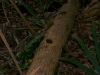 100_0074.JPG