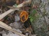 100_0076.JPG