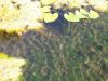 100_0079.JPG