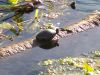 100_0084.JPG