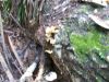 100_0088.JPG