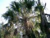 100_0102.JPG