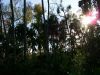 100_0104.JPG