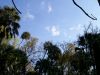 100_0106.JPG