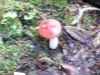 100_0111.JPG