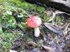 100_0112.JPG