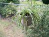 100_0141.JPG