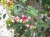 100_0154.JPG