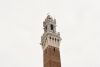 451199-r1-039-18.jpg